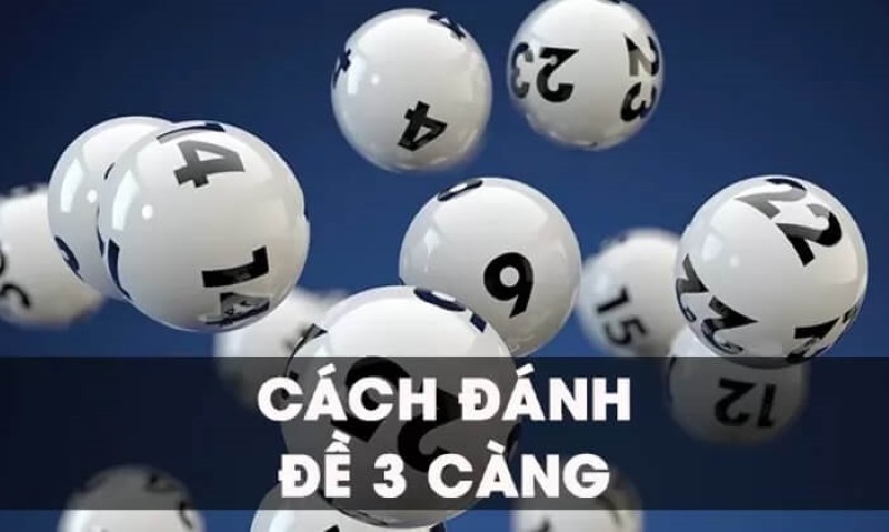 3 Càng Là Gì? Cùng Giải Đáp Các Thông Tin Quan Trọng - Trang Chính Thức Fun88.com 2026