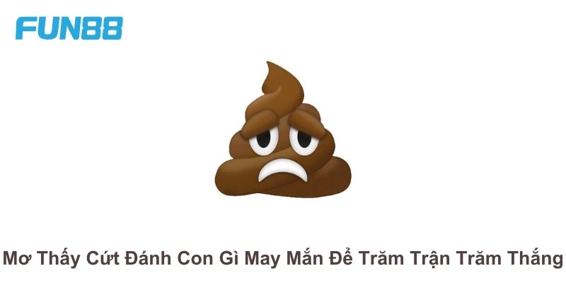 Mơ Thấy Cứt Đánh Con Gì May Mắn Để Trăm Trận Trăm Thắng - Trang Chính Thức Fun88.com 2026