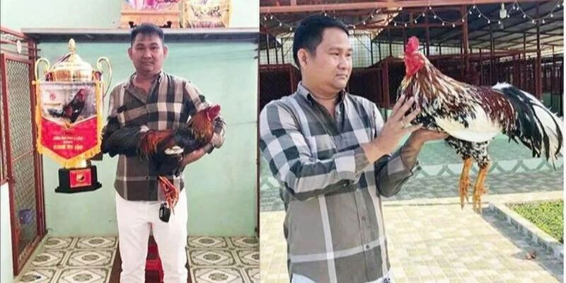 Trận Đá Gà 24 Tỷ - Màn Đối Đầu Khiến Cộng Đồng Chấn Động - Trang Chính Thức Fun88.com 2026
