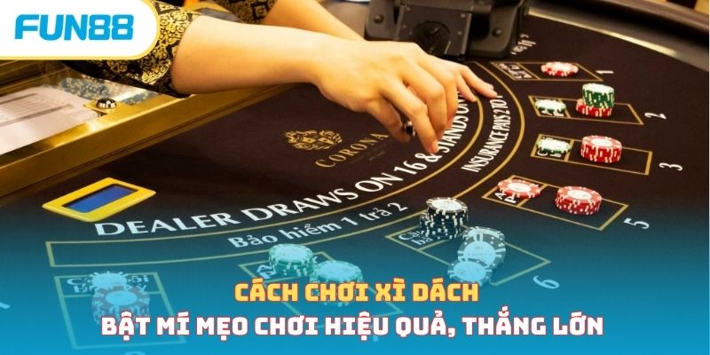 Cách chơi xì dách - Bật mí mẹo chơi hiệu quả, thắng lớn