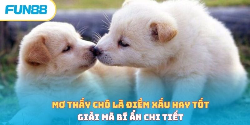 Mơ thấy chó là điềm xấu hay tốt - Giải mã bí ẩn chi tiết