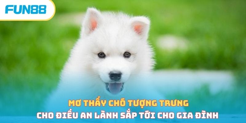 Mơ thấy chó là điềm xấu hay tốt - Giải mã bí ẩn chi tiết