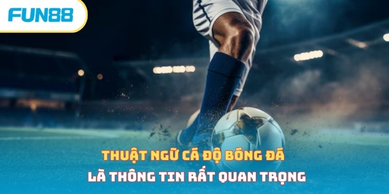 Tổng Hợp Thuật Ngữ Cá Độ Bóng Đá Phổ Biến Tân Thủ Cần Biết