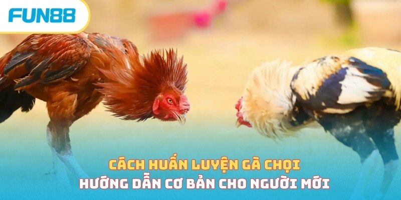 Đá gà - Trang Chính Thức Fun88.com 2026