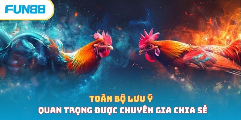 Cách Nuôi Gà Đá - Bí Quyết Nuôi Chiến Kê Hiệu Quả Nhất 2026