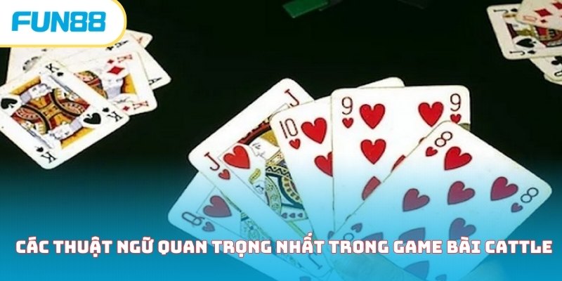 Cẩm nang hướng dẫn chơi bài Cattle chi tiết dành cho newbie
