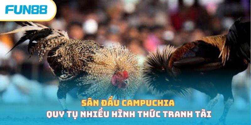 Đá Gà Campuchia - Sân Chơi Gay Cấn, Hồi Hộp Bậc Nhất Châu Á