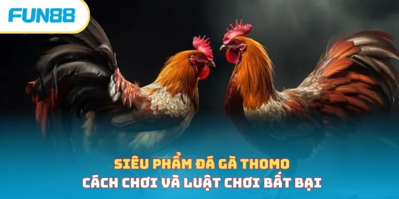 Đá gà - Trang Chính Thức Fun88.com 2026