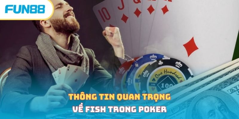 Fish Trong Poker - Cách Nhận Biết Khi Tham Gia Cá Cược 