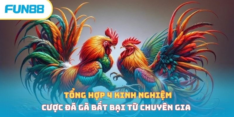 Đá gà - Trang Chính Thức Fun88.com 2026