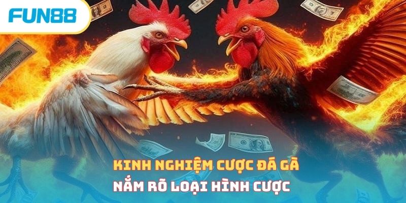Tổng Hợp 4 Kinh Nghiệm Cược Đá Gà Bất Bại Từ Chuyên Gia 