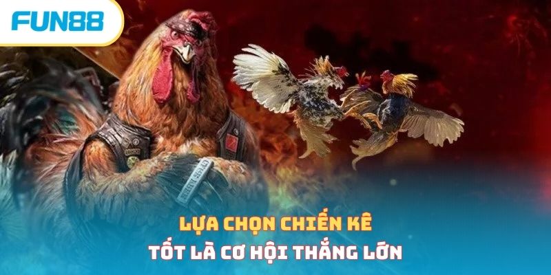 Tổng Hợp 4 Kinh Nghiệm Cược Đá Gà Bất Bại Từ Chuyên Gia 