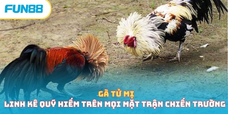 Đá gà - Trang Chính Thức Fun88.com 2026