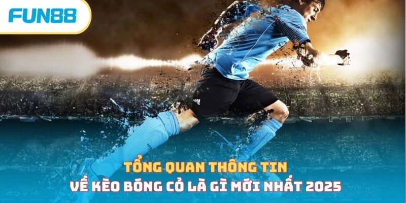 Kèo Bóng Cỏ Là Gì - Kinh Nghiệm Đọc Kèo Hiệu Quả, Thắng Lớn 