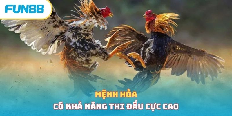 Xem Màu Mạng Gà Đúng Chuẩn Phong Thủy Mới Nhất 2026 