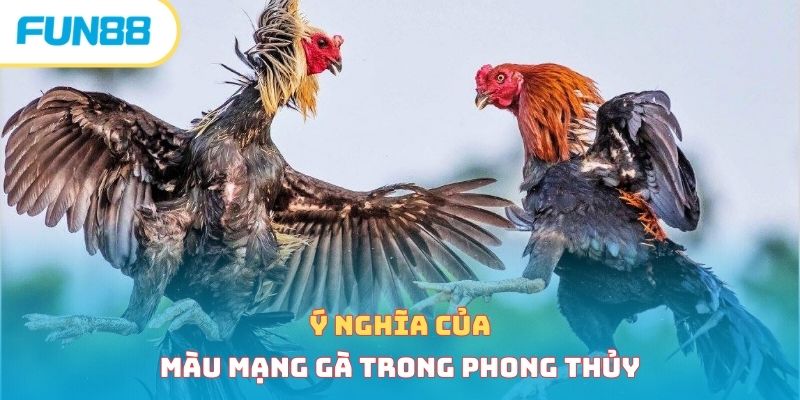 Xem Màu Mạng Gà Đúng Chuẩn Phong Thủy Mới Nhất 2026 