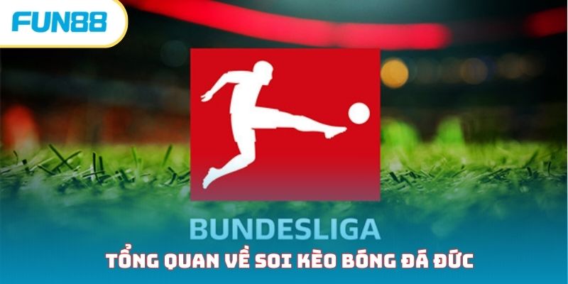 Soi kèo bóng đá Đức - Hướng dẫn nhập môn cho lính mới