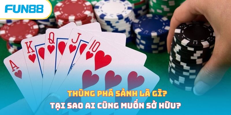 Thùng Phá Sảnh Là Gì? Tại Sao Ai Cũng Muốn Sở Hữu?