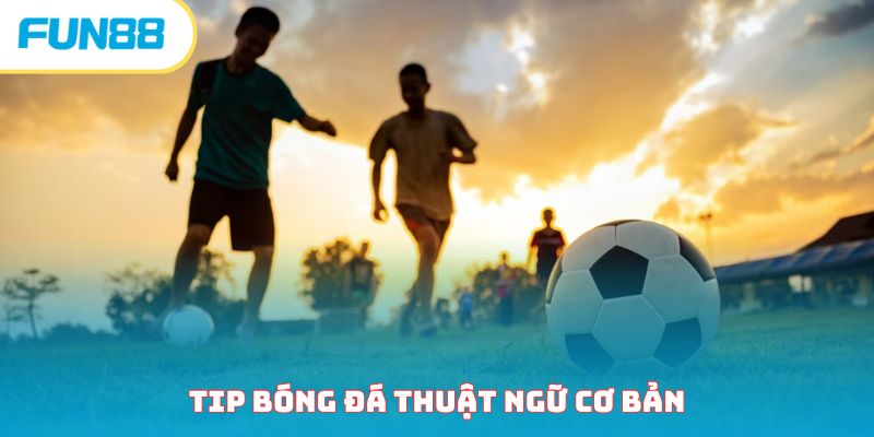 Tip Bóng Đá Là Gì? Nên Hay Không Mua Tip Môn Thể Thao Vua?