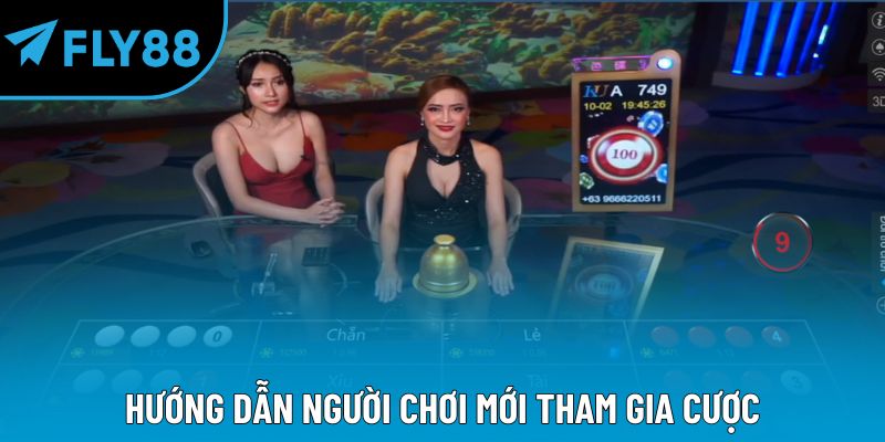 Cách Chơi Xóc Đĩa: Bí Quyết Thắng Lớn Trong Cá Cược Dân Gian