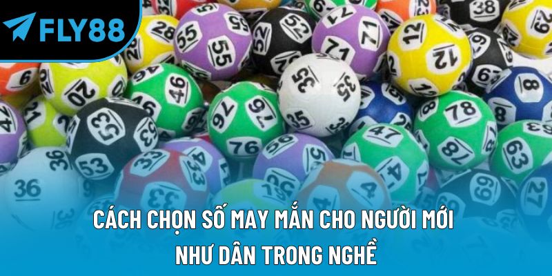 Xổ Số Fly88 Hướng Dẫn Chi Tiết Và Kinh Nghiệm Hiệu Quả