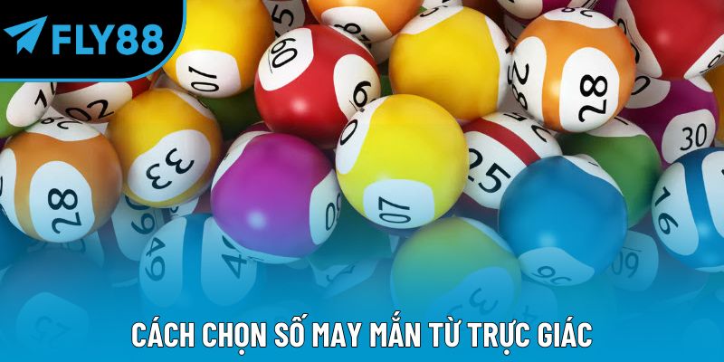 Cách Chọn Số May Mắn Cho Người Mới Như Dân Trong Nghề