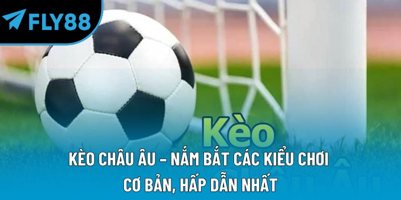 Thể Thao fly88 Hiện Đại Và Cơ Hội Nhận Thưởng Lớn