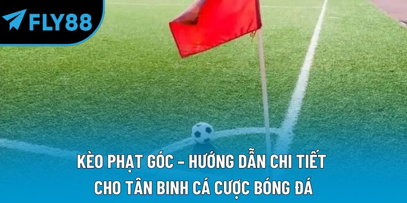 Thể Thao fly88 Hiện Đại Và Cơ Hội Nhận Thưởng Lớn