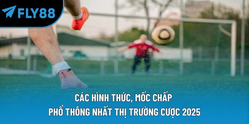 Kèo Handicap Là Gì? Cách Đọc Chuẩn Cho Người Mới Tìm Hiểu