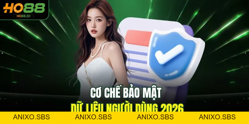 Điều Khoản Và Điều Kiện HO88 - 5 Quy Định Mới Nhất 2026
