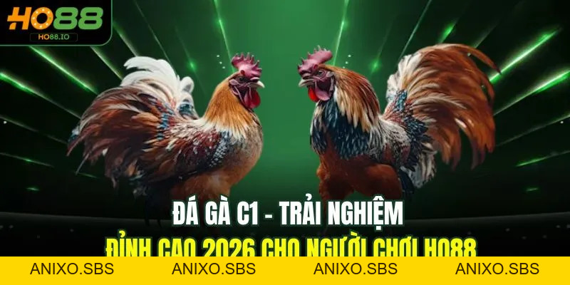 Đá Gà C1 - Trải Nghiệm Đỉnh Cao 2026 Cho Người Chơi HO88 