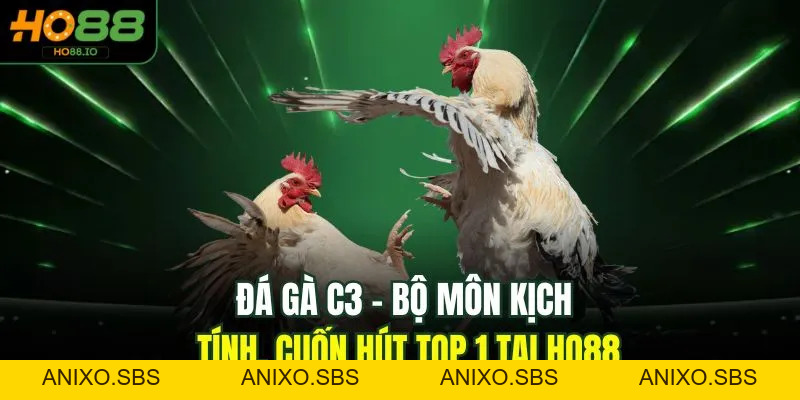 Đá Gà C3 - Bộ Môn Kịch Tính, Cuốn Hút Top 1 Tại HO88