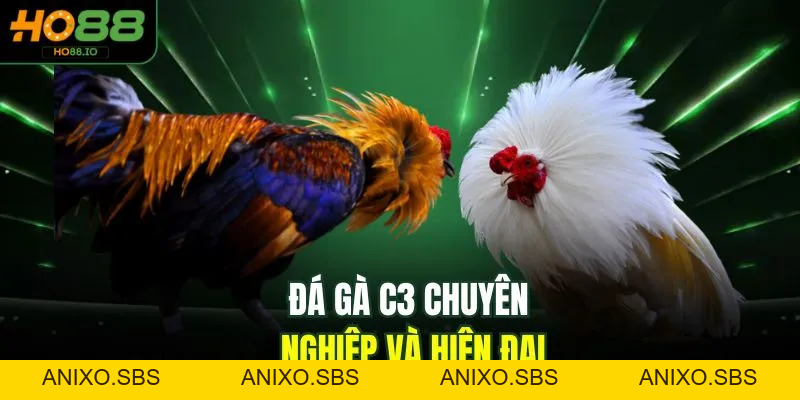 Đá Gà C3 - Bộ Môn Kịch Tính, Cuốn Hút Top 1 Tại HO88