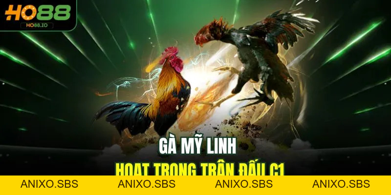 Đá Gà C1 - Trải Nghiệm Đỉnh Cao 2026 Cho Người Chơi HO88 