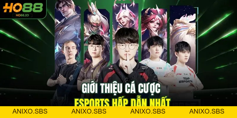 Esports Tại HO88 - Top 1 Sân Chơi Cá Cược Uy Tín 2026