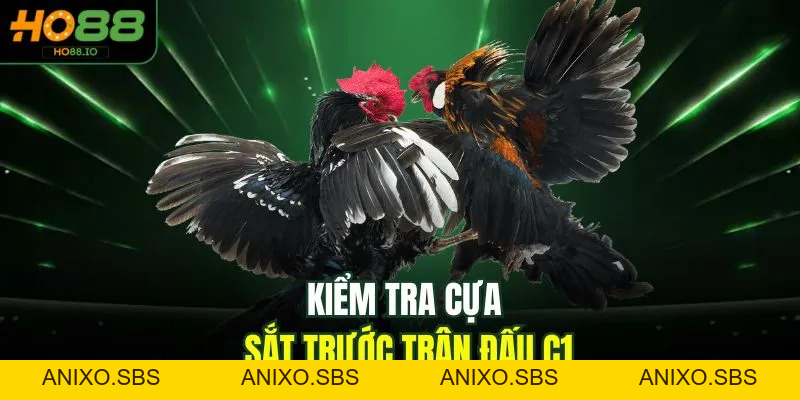 Đá Gà C1 - Trải Nghiệm Đỉnh Cao 2026 Cho Người Chơi HO88 