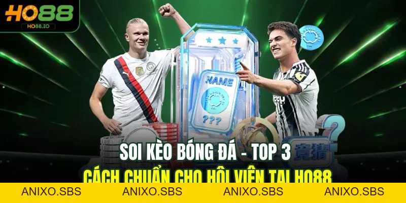 Mẹo Cá Cược