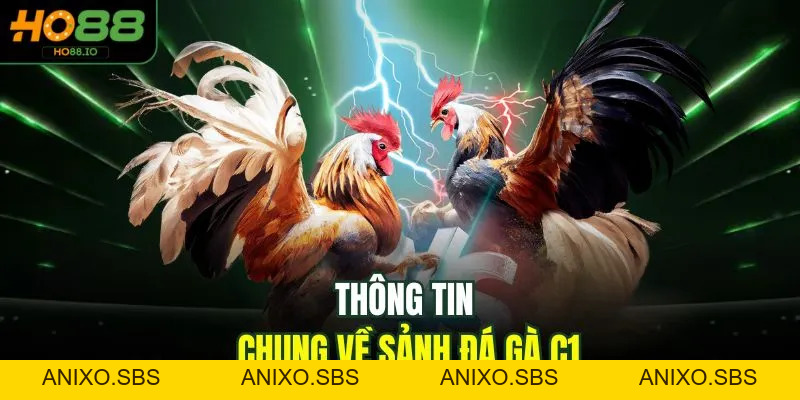 Đá Gà C1 - Trải Nghiệm Đỉnh Cao 2026 Cho Người Chơi HO88 