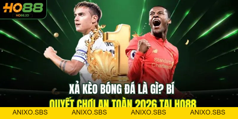 Mẹo Cá Cược
