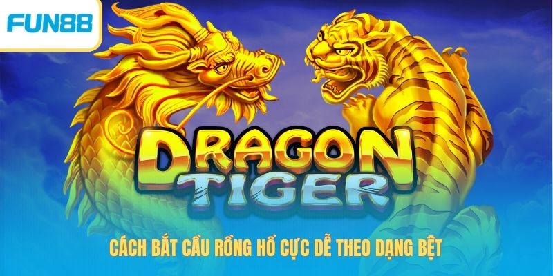 Cách Bắt Cầu Rồng Hổ Và Những Công Thức Được Yêu Thích Nhất