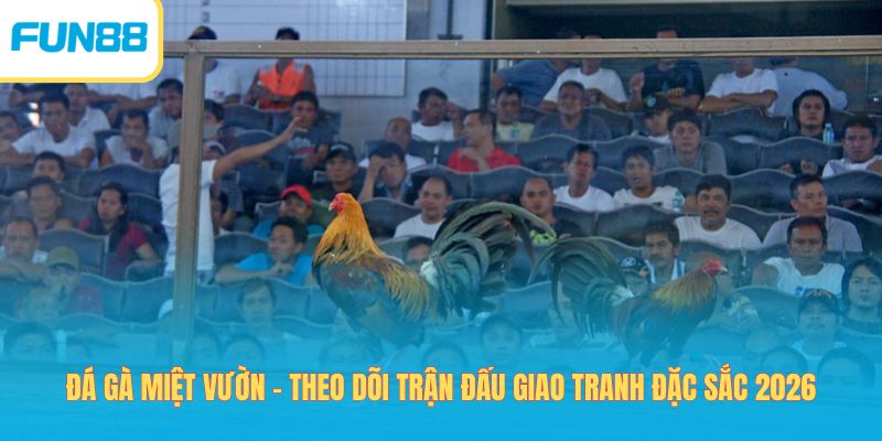 Đá gà - Trang Chính Thức Fun88.com 2026